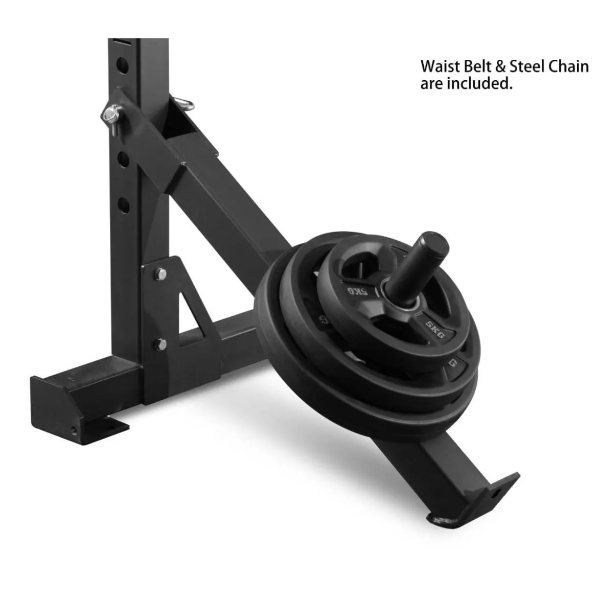 ACCESSOIRE DE BELT SQUAT POUR LES RACKS