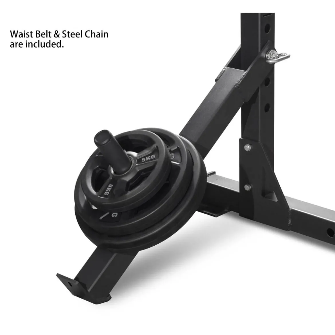 ACCESSOIRE DE BELT SQUAT POUR LES RACKS