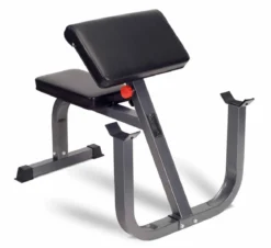 Banc pupitre curl