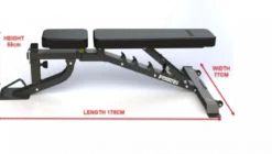 Banc Réglable avec Pupitre de Biceps et Extension de jambes - Force USA MyBench