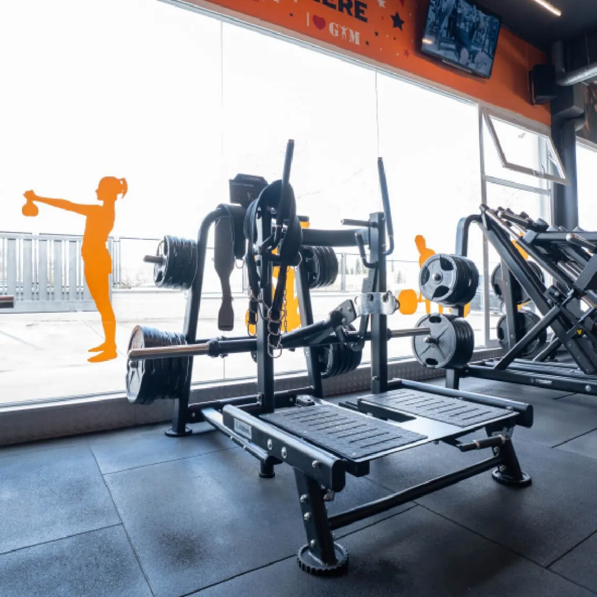 Belt Squat - Squats avec Ceinture Genesis Series