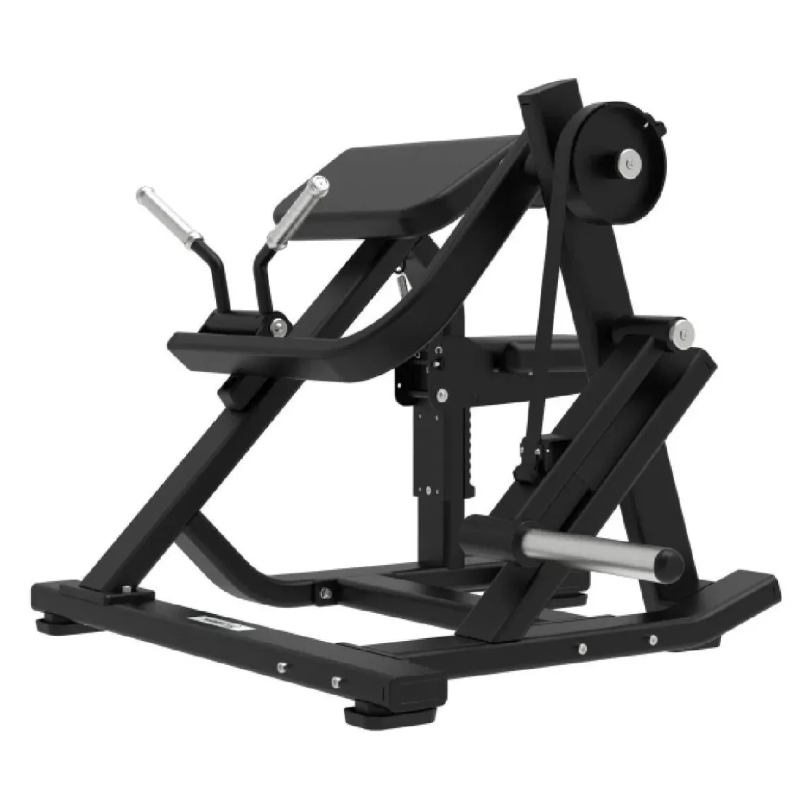 Biceps Curl avec Charge de Disques