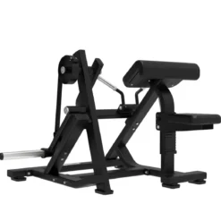 Biceps Curl avec Charge de Disques
