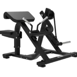 Biceps Curl avec Charge de Disques