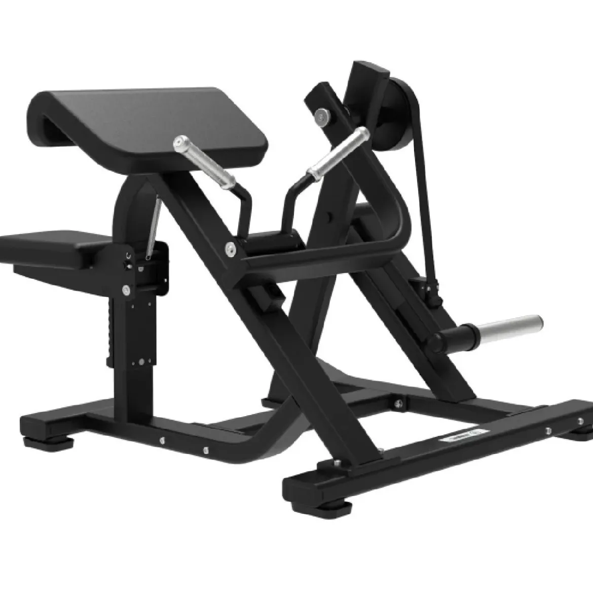 Biceps Curl avec Charge de Disques