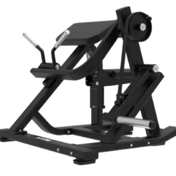 Biceps Curl avec Charge de Disques