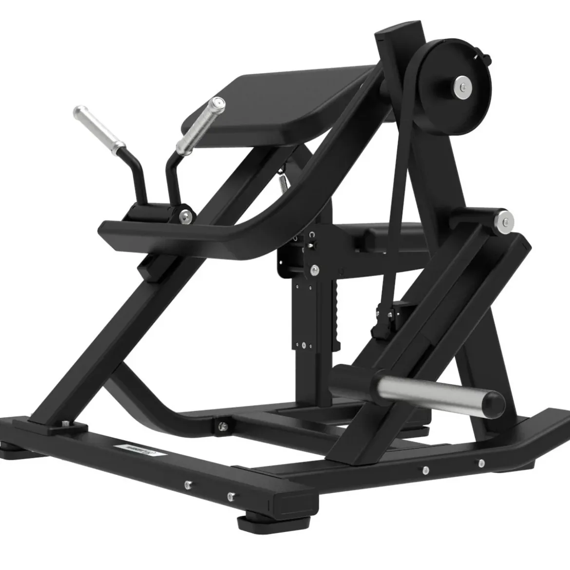 Biceps Curl avec Charge de Disques