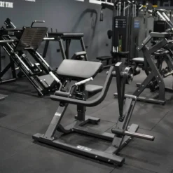 Biceps Curl avec Charge de Disques