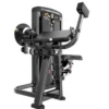 Curl de Biceps et Extension de Triceps Genesis Series