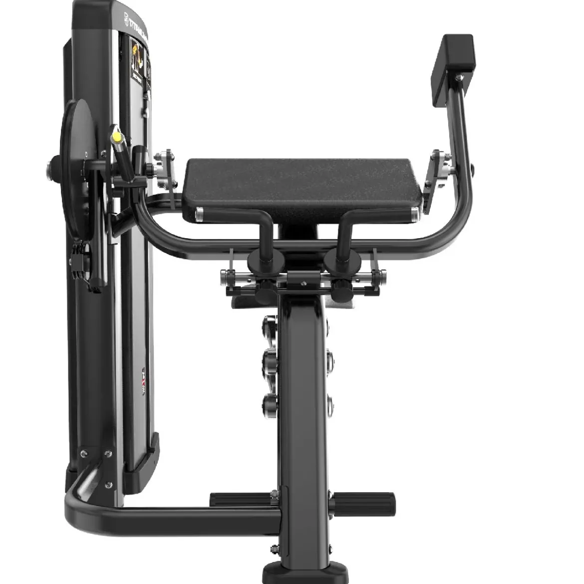 Curl de Biceps et Extension de Triceps Genesis Series