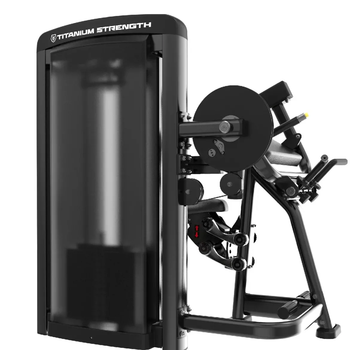 Curl de Biceps et Extension de Triceps Genesis Series