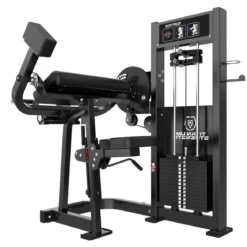 Curl de Biceps et Extension de Triceps