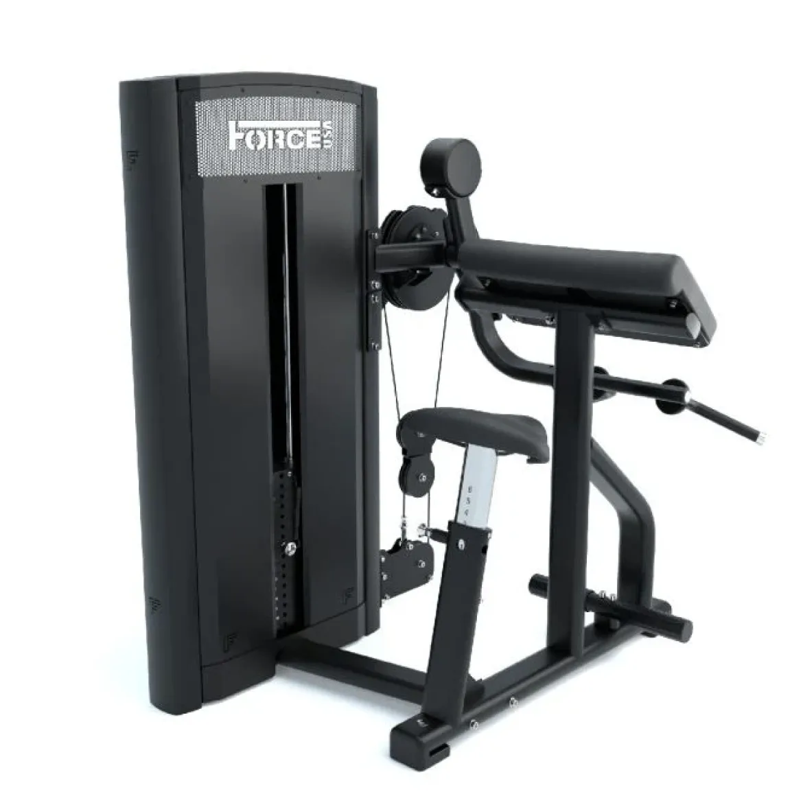 Curl de Biceps et Extension de Triceps Ridge Series