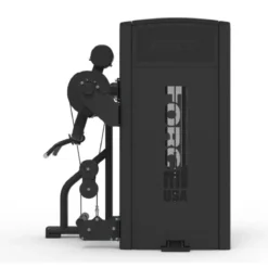 Curl de Biceps et Extension de Triceps Ridge Series