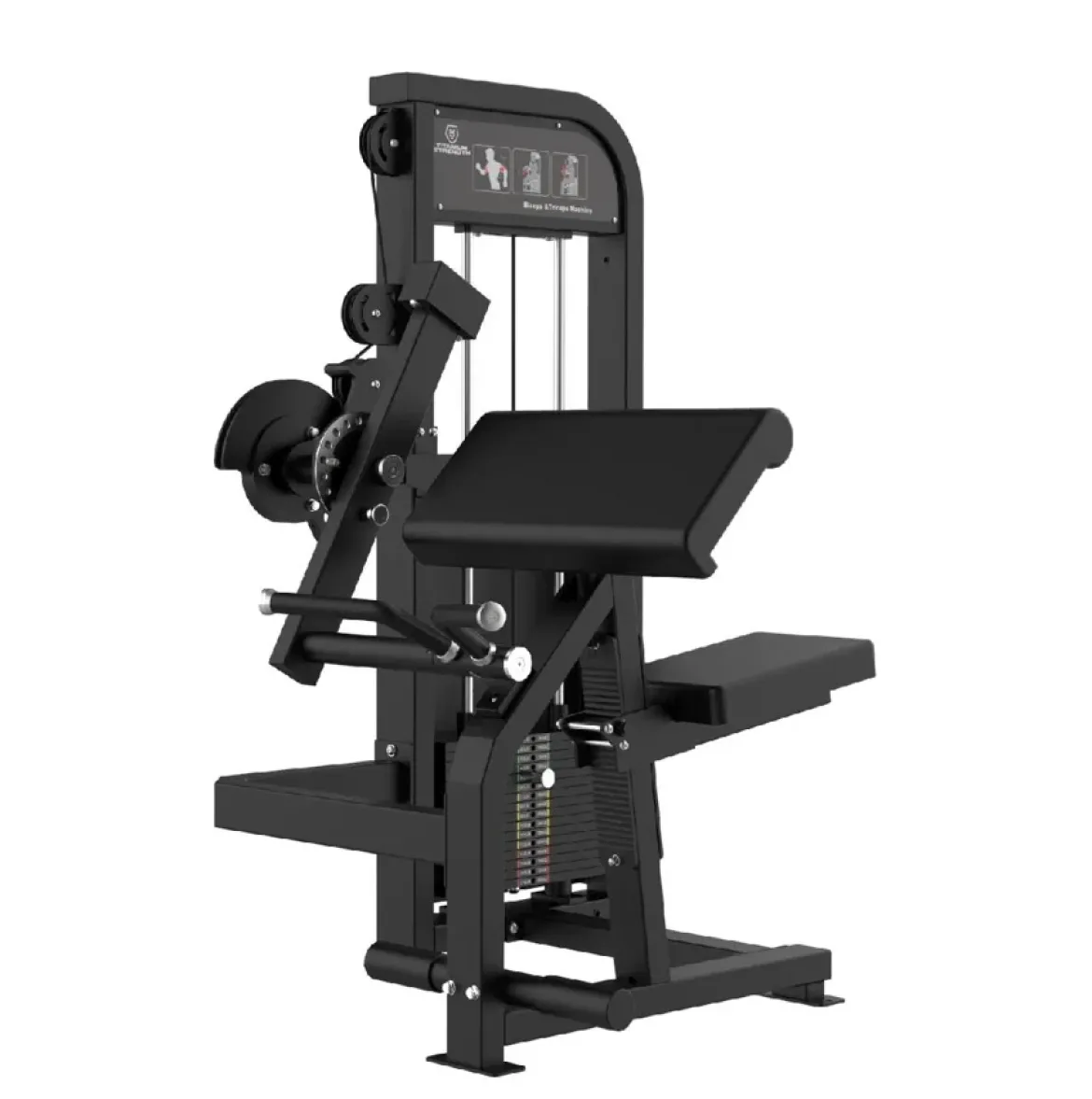 CURL DE BICEPS ET EXTENSION DE TRICEPS ELITE SERIES