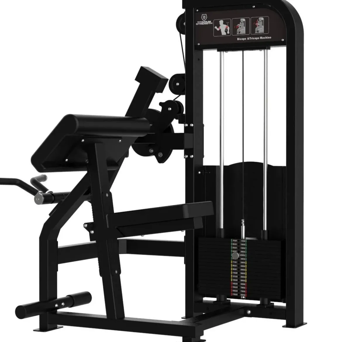 CURL DE BICEPS ET EXTENSION DE TRICEPS ELITE SERIES