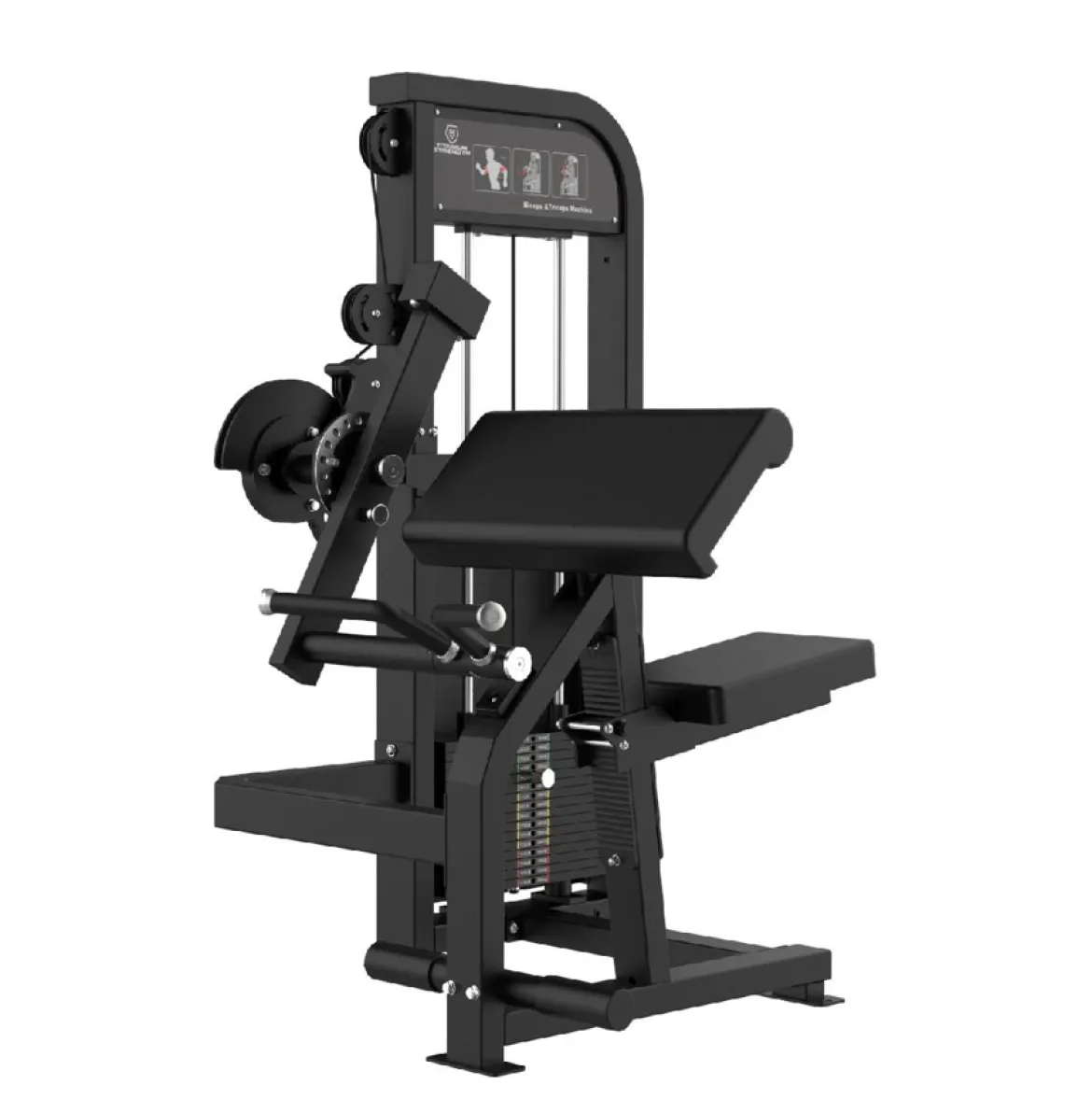 CURL DE BICEPS ET EXTENSION DE TRICEPS ELITE SERIES