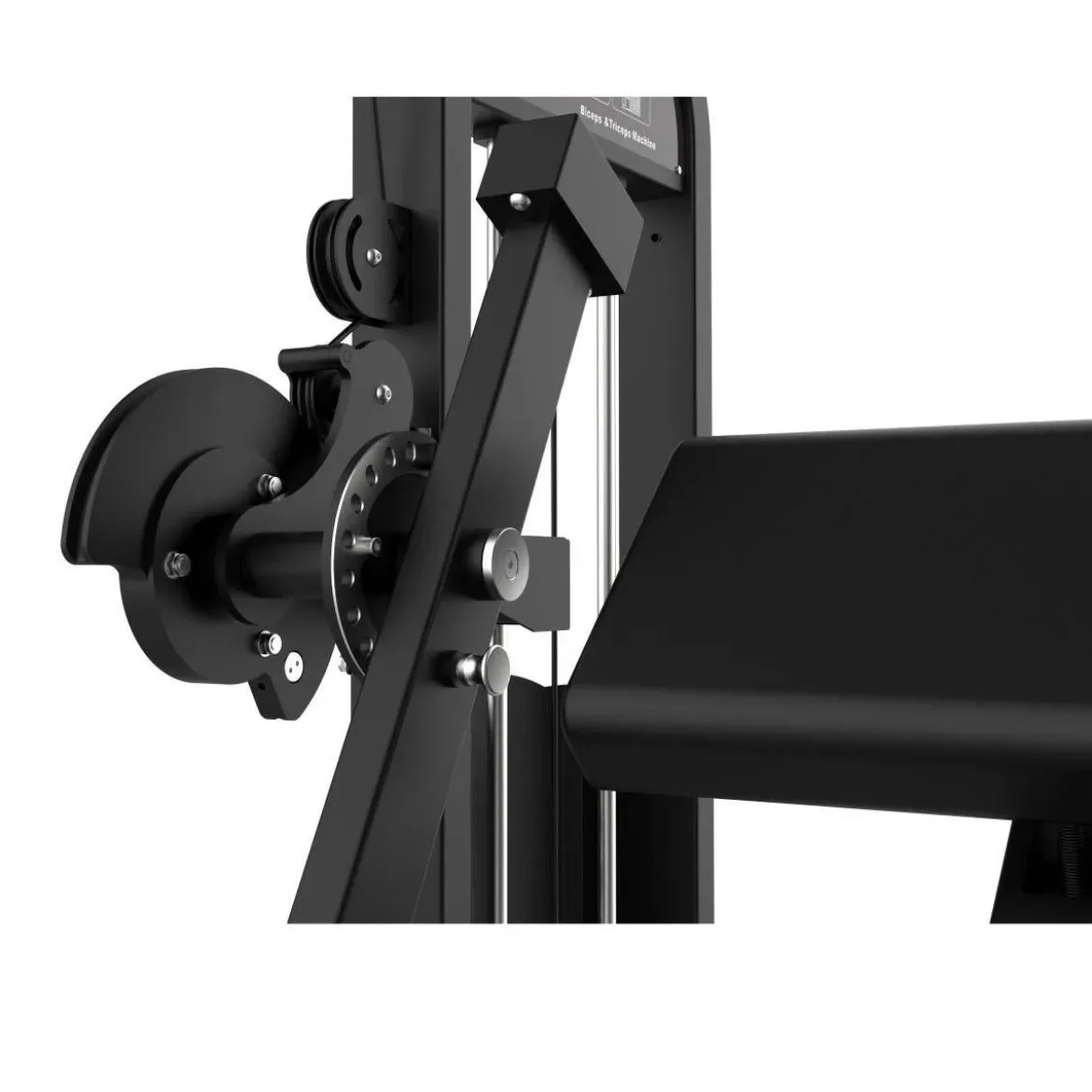 CURL DE BICEPS ET EXTENSION DE TRICEPS ELITE SERIES