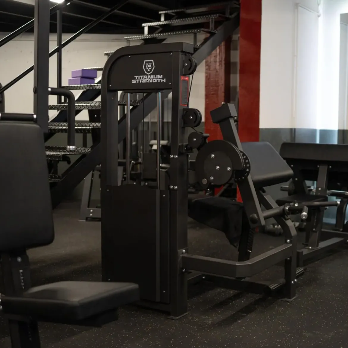 CURL DE BICEPS ET EXTENSION DE TRICEPS ELITE SERIES
