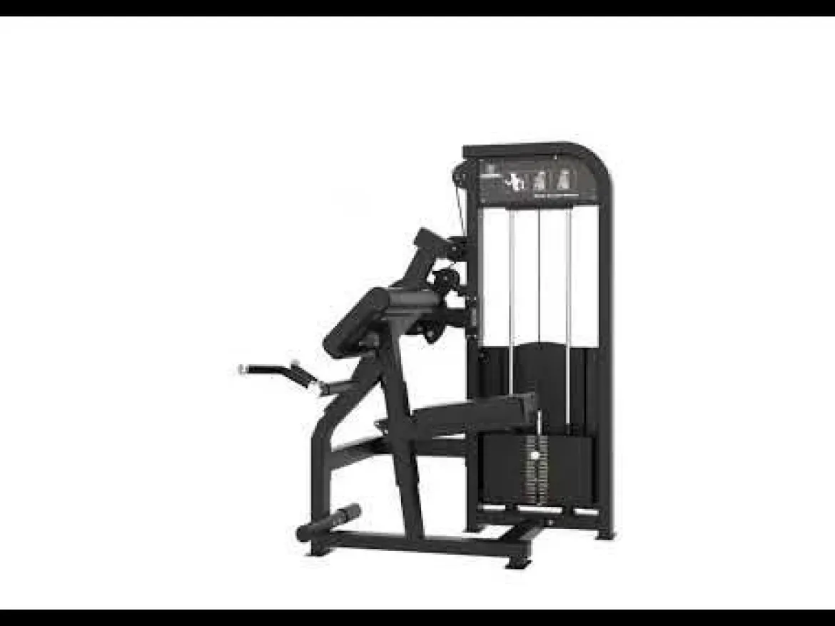 CURL DE BICEPS ET EXTENSION DE TRICEPS ELITE SERIES