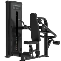 Dips de Triceps