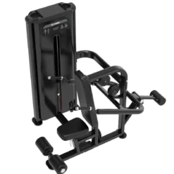 Dips de Triceps