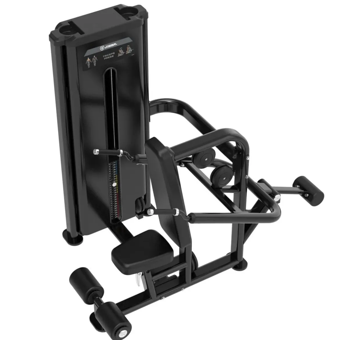 Dips de Triceps