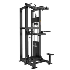 Dips et Tractions Assistées