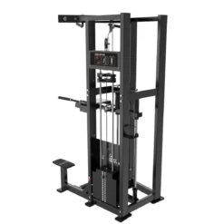 Dips et Tractions Assistées