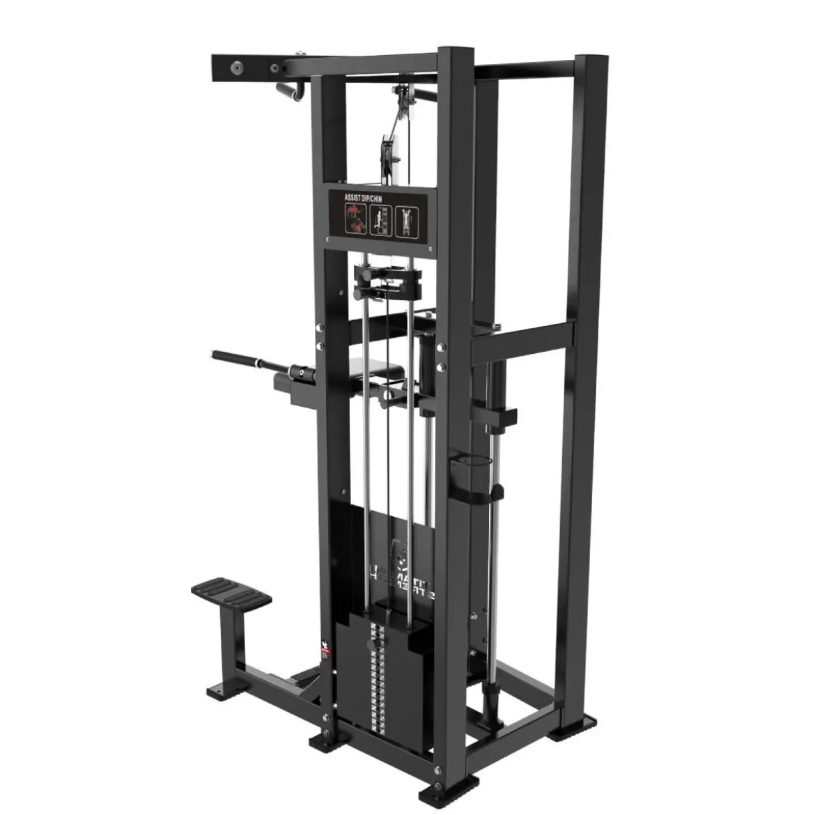 Dips et Tractions Assistées