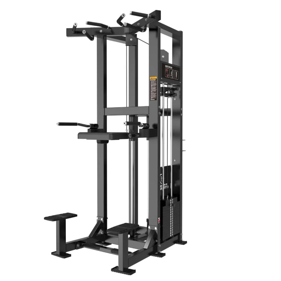 Dips et Tractions Assistées