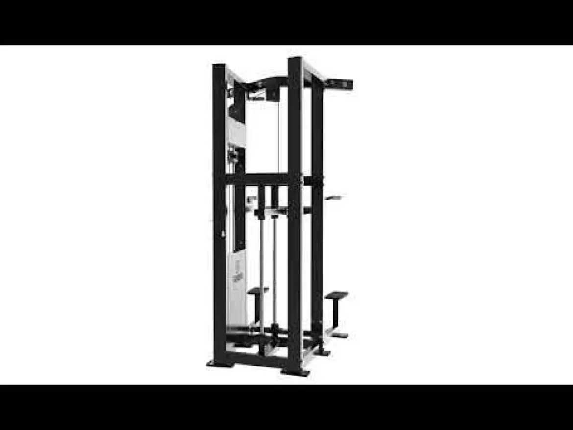 Dips et Tractions Assistées