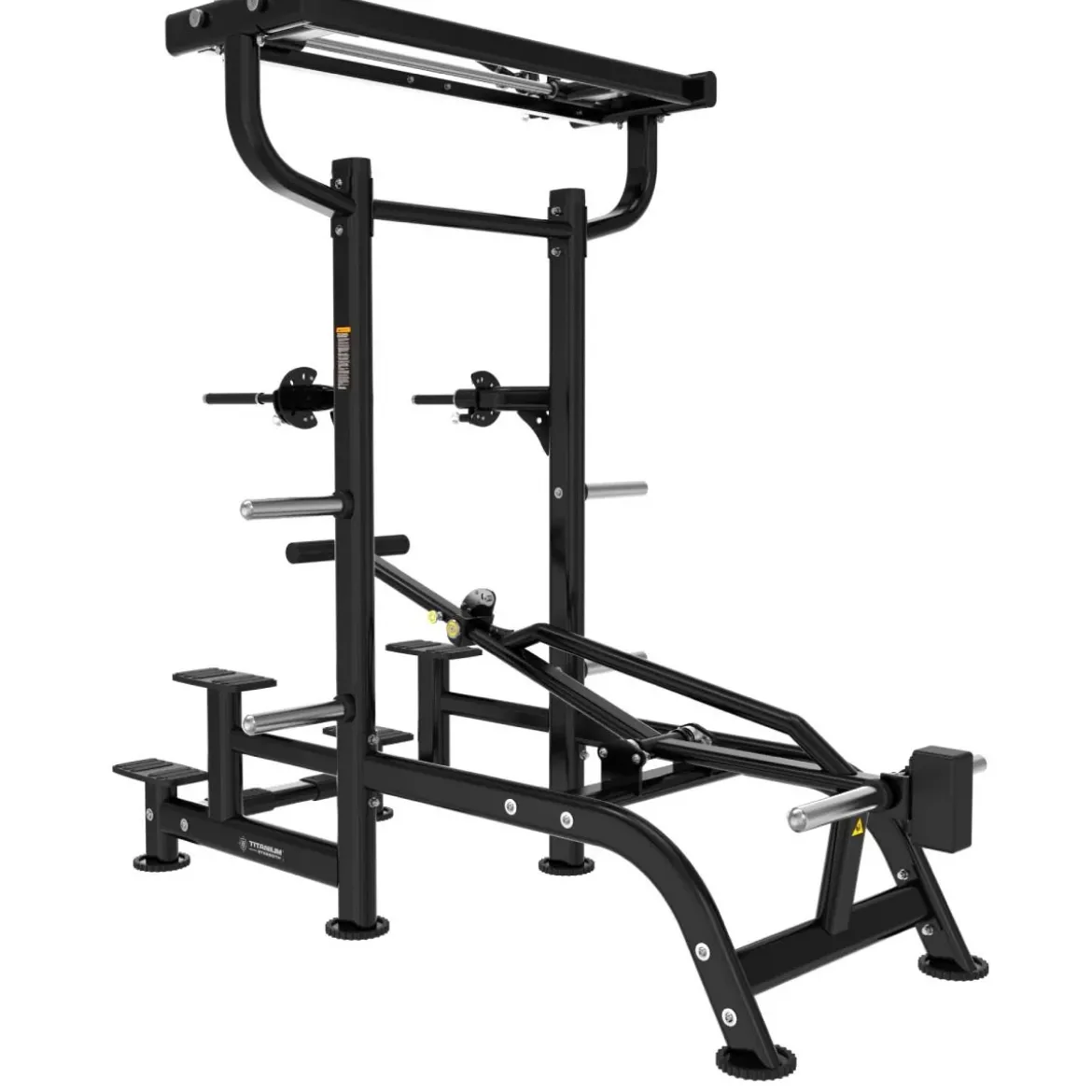 Dips et Tractions Assistées