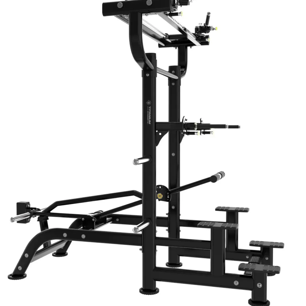 Dips et Tractions Assistées