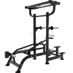 Dips et Tractions Assistées