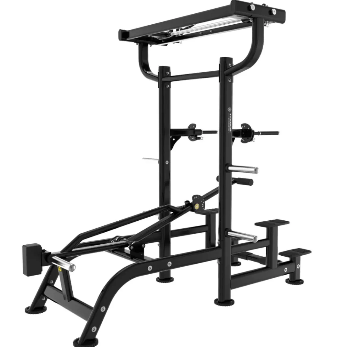 Dips et Tractions Assistées