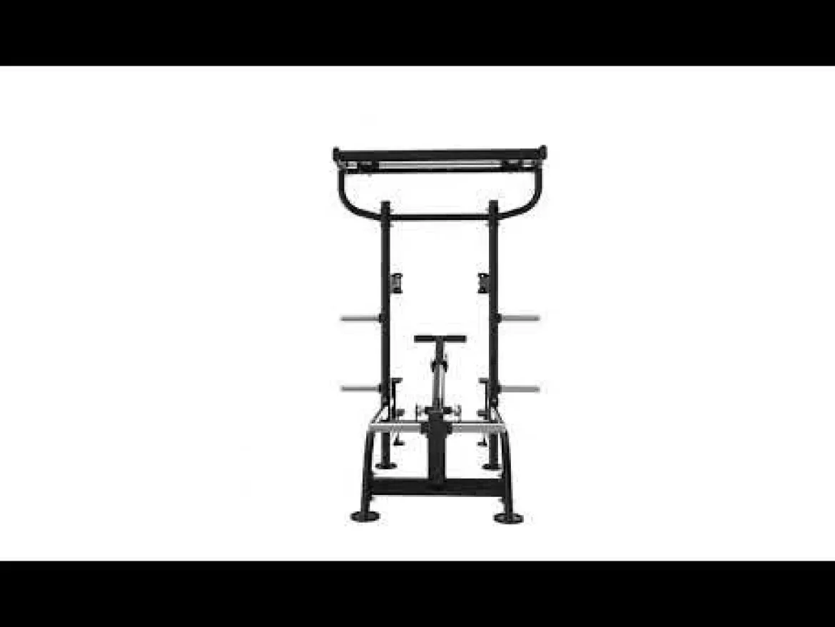 Dips et Tractions Assistées