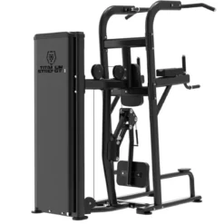 Dips et Tractions Assistées