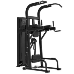 Dips et Tractions Assistées