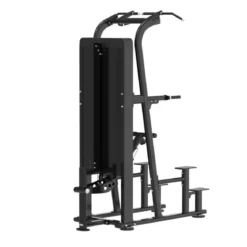 Dips et Tractions Assistées