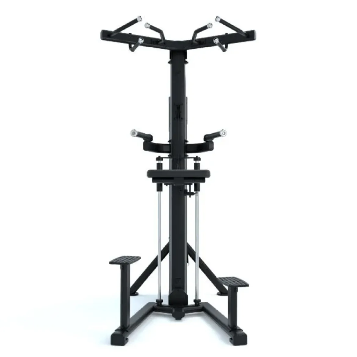 Dips et Tractions Assistées Ridge Series