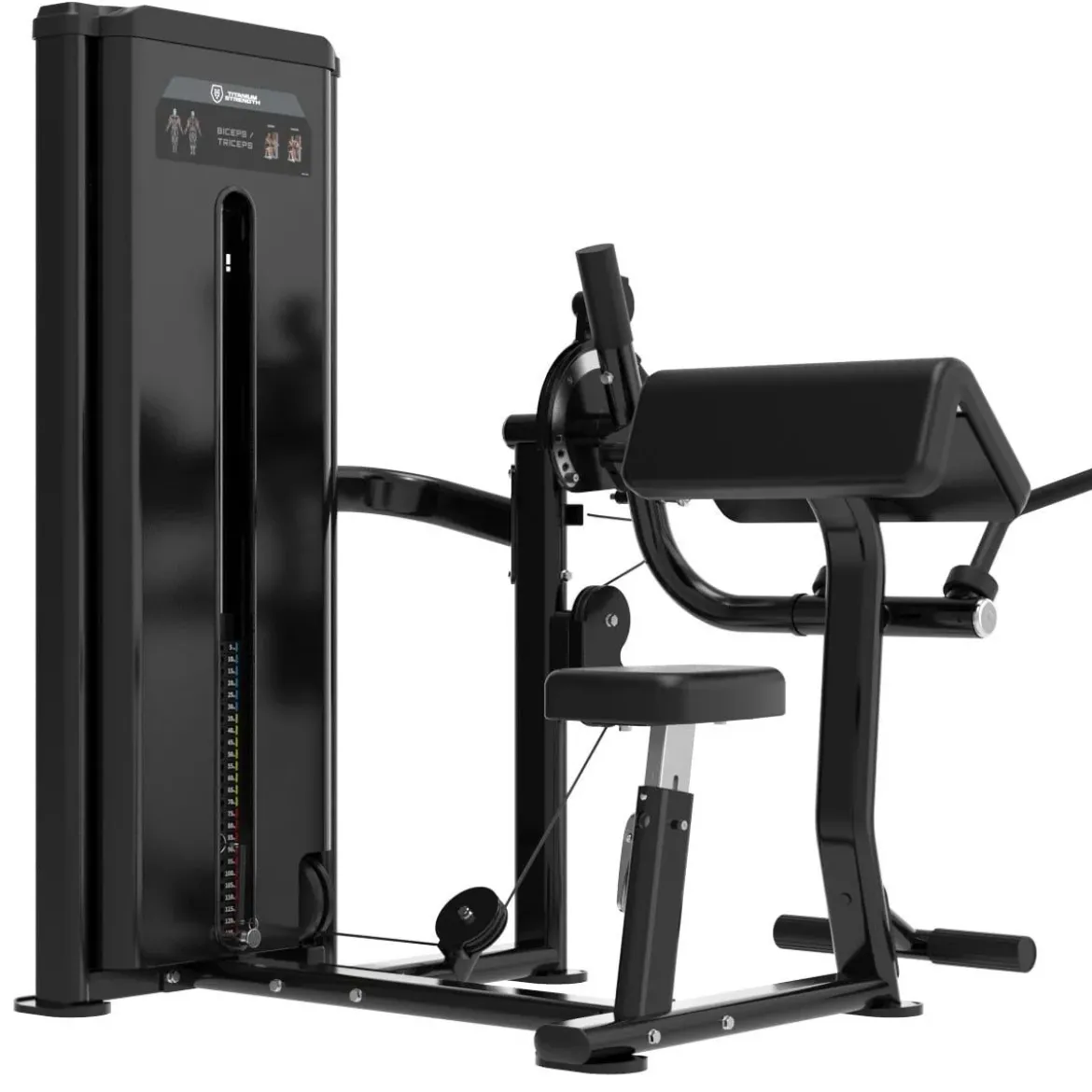 Dual Curl de Biceps et Extension de Triceps