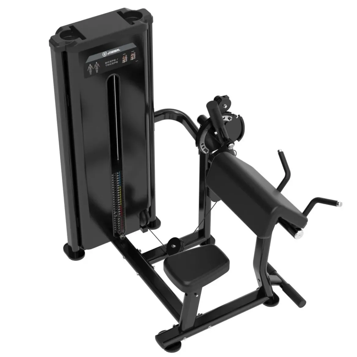 Dual Curl de Biceps et Extension de Triceps