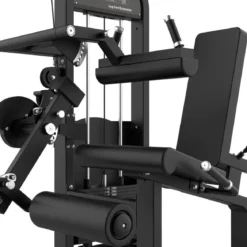 Dual Leg Extension & Leg Curl Assis Elite Series