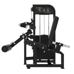 Extension des Jambes et Fémorale Assis Premium V2