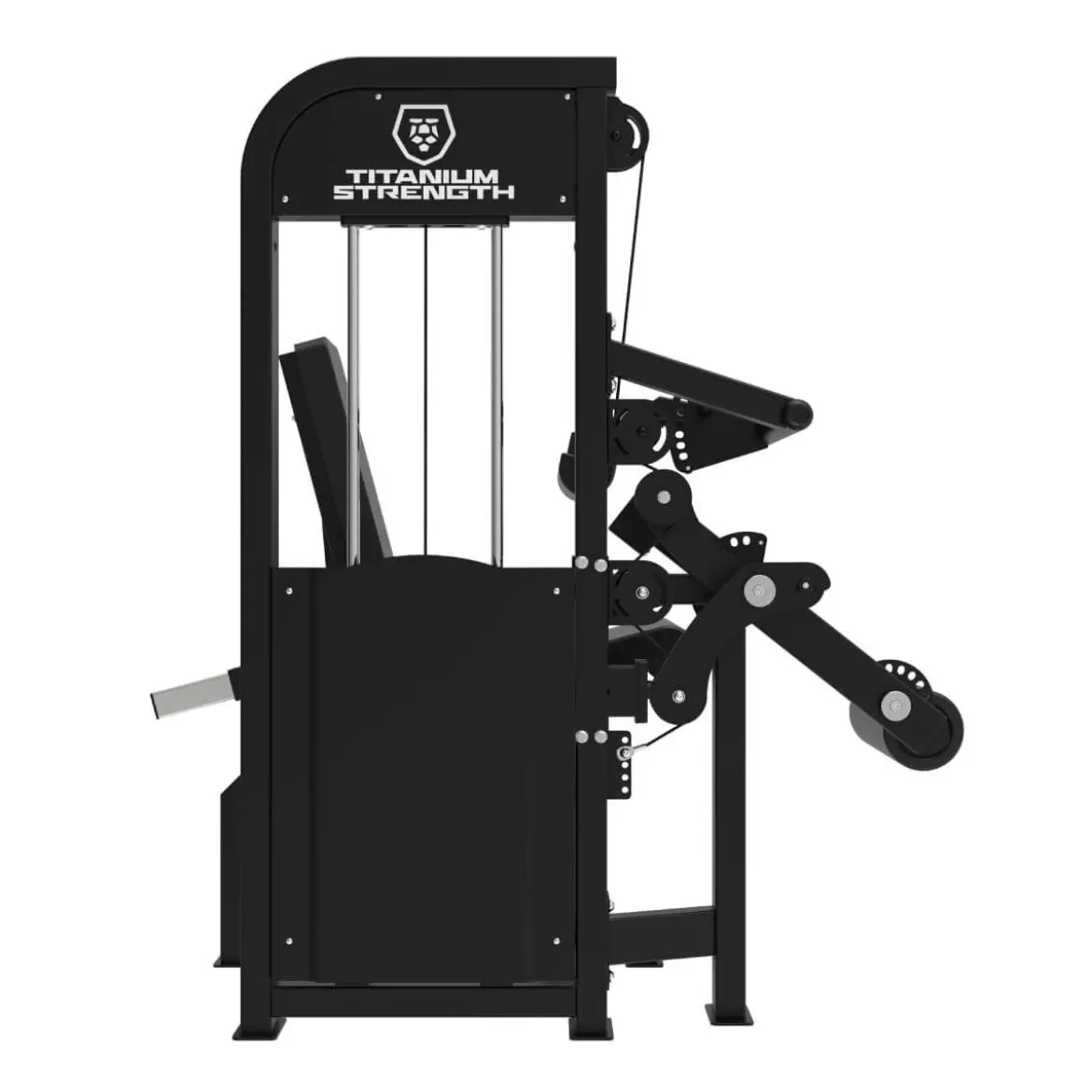 Extension des Jambes et Fémorale Assis Premium V2