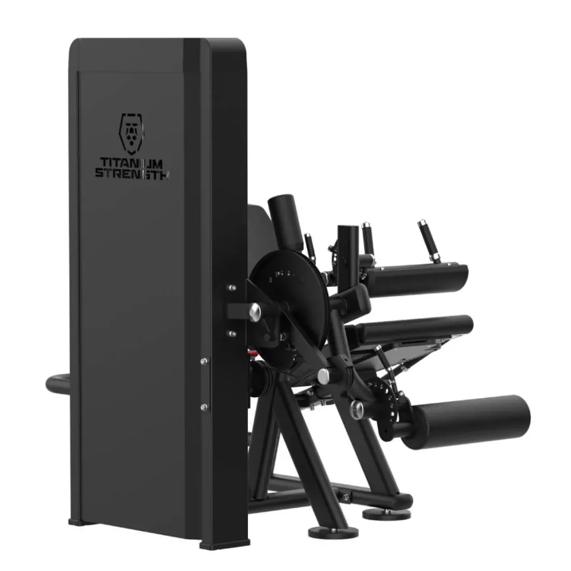 Extension des Jambes et Fémorale Assis