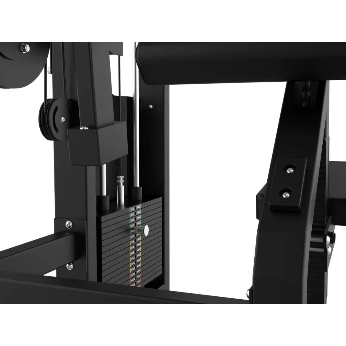 EXTENSION DES TRICEPS ELITE SERIES