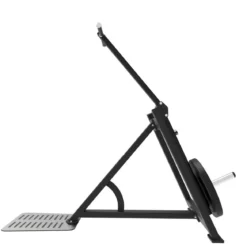 Extension Triceps Debout et Dips Elite Series