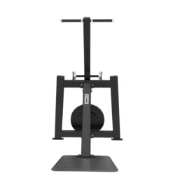 Extension Triceps Debout et Dips Elite Series